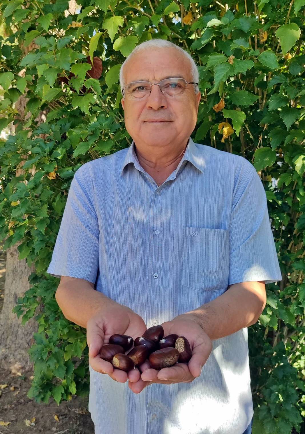 İlk ürün o kentte toplanıyor: Arapların yeni gözdesi! Yurt dışına ihraç ediliyor 7